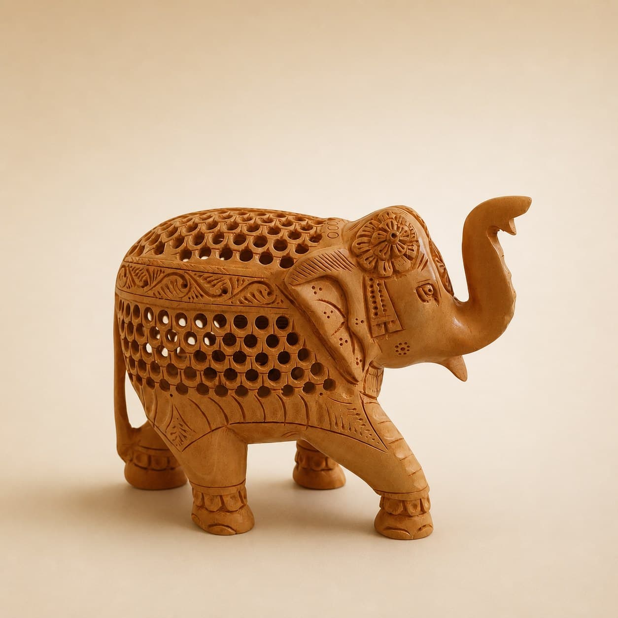 Jaali Net Elephant